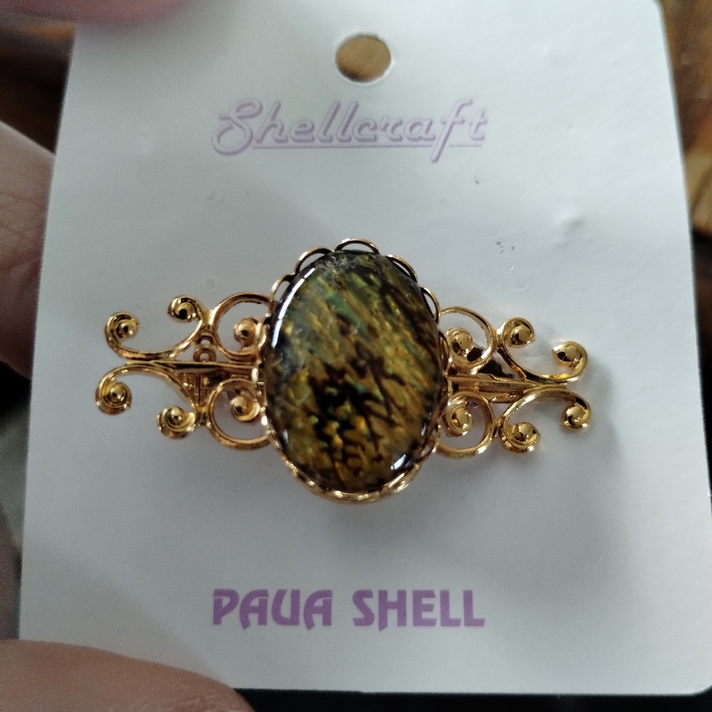 Pin Paua shell.